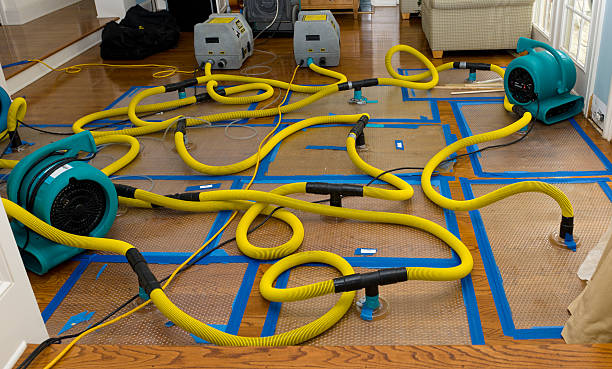 Professional Water Damage Repair technician working in Sarah, MS
