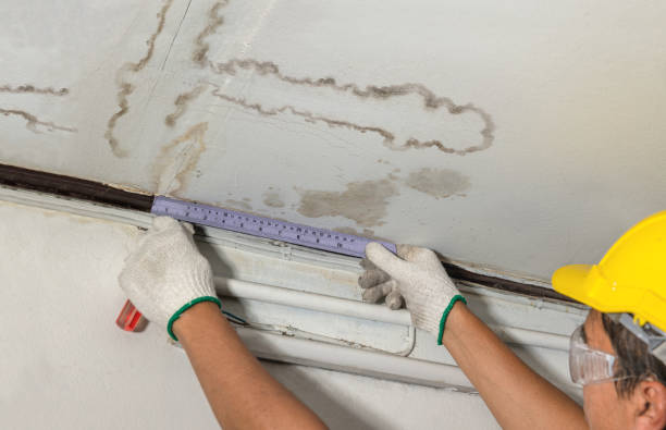 Affordable Water Damage Repair solutions in Sarah, MS